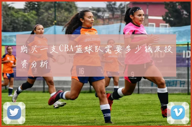 购买一支CBA篮球队需要多少钱及投资分析