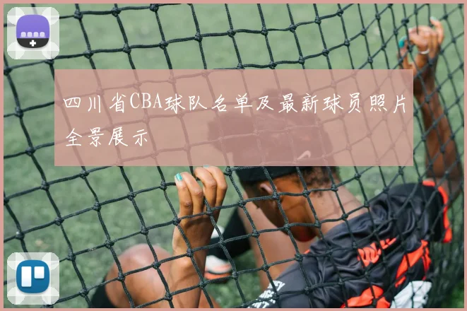 四川省CBA球队名单及最新球员照片全景展示